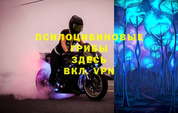 прущие крисы Михайловка