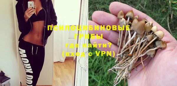 mix Надым