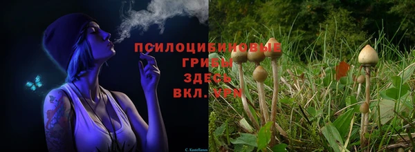 прущие крисы Михайловка