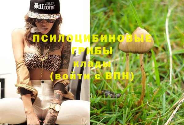 mix Надым