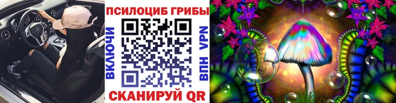 Галлюциногенные грибы GOLDEN TEACHER Кизел