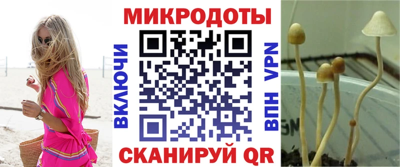 KRAKEN ONION  продажа наркотиков  Кизел  Псилоцибиновые грибы Psilocybine cubensis 