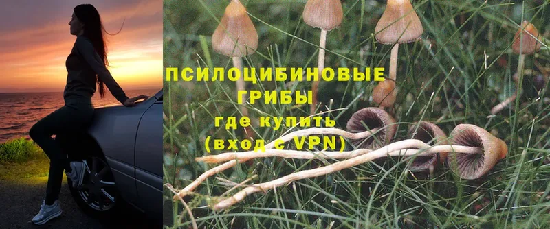 OMG зеркало  мориарти клад  Галлюциногенные грибы MAGIC MUSHROOMS  Кизел 